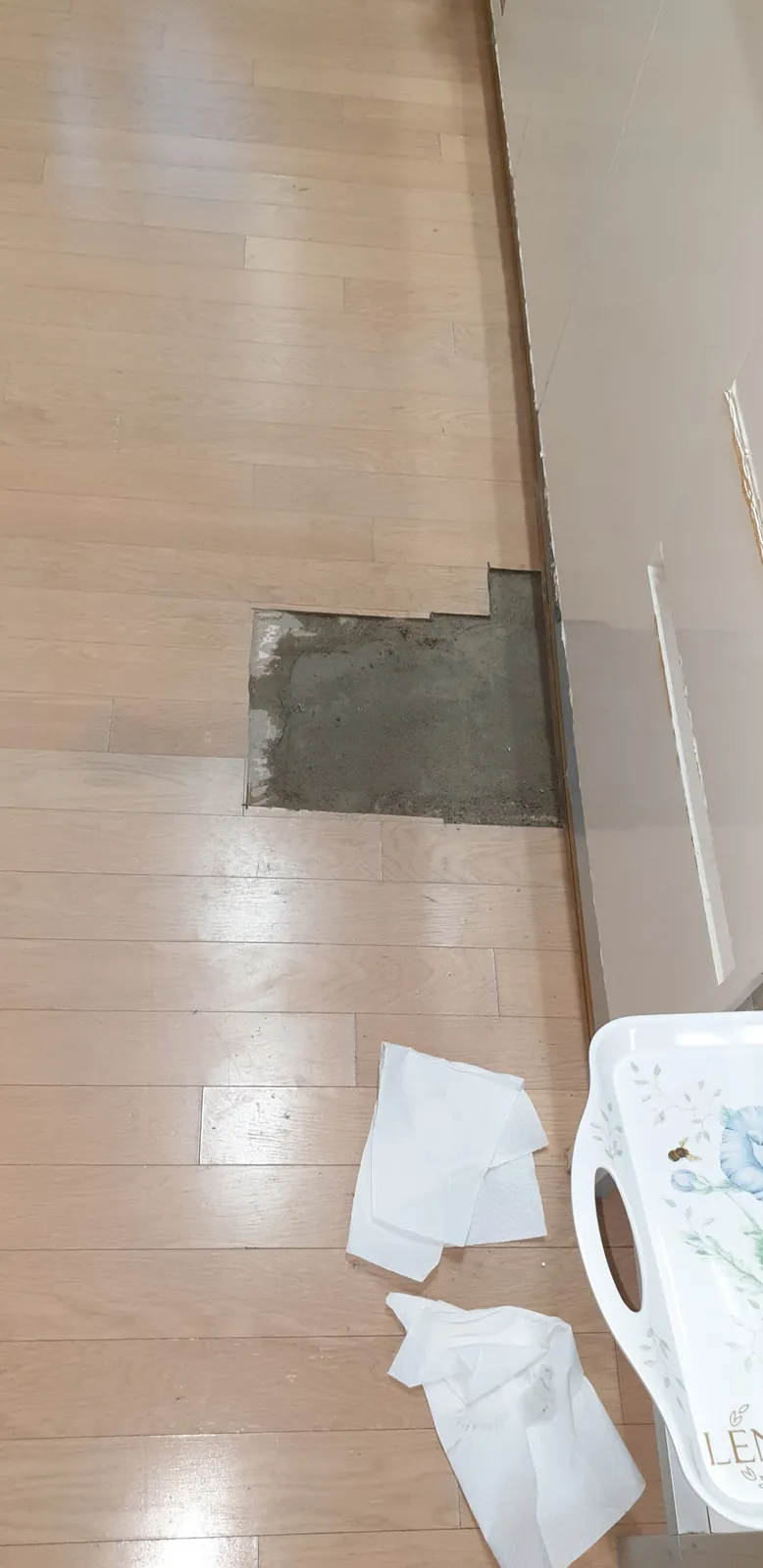 시멘트로 메운 바닥